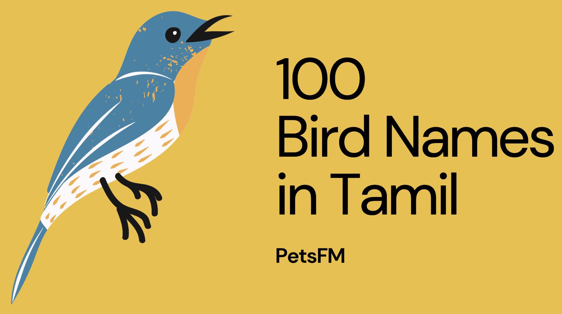 100-bird-names-in-tamil-with-translation-in-english-updated